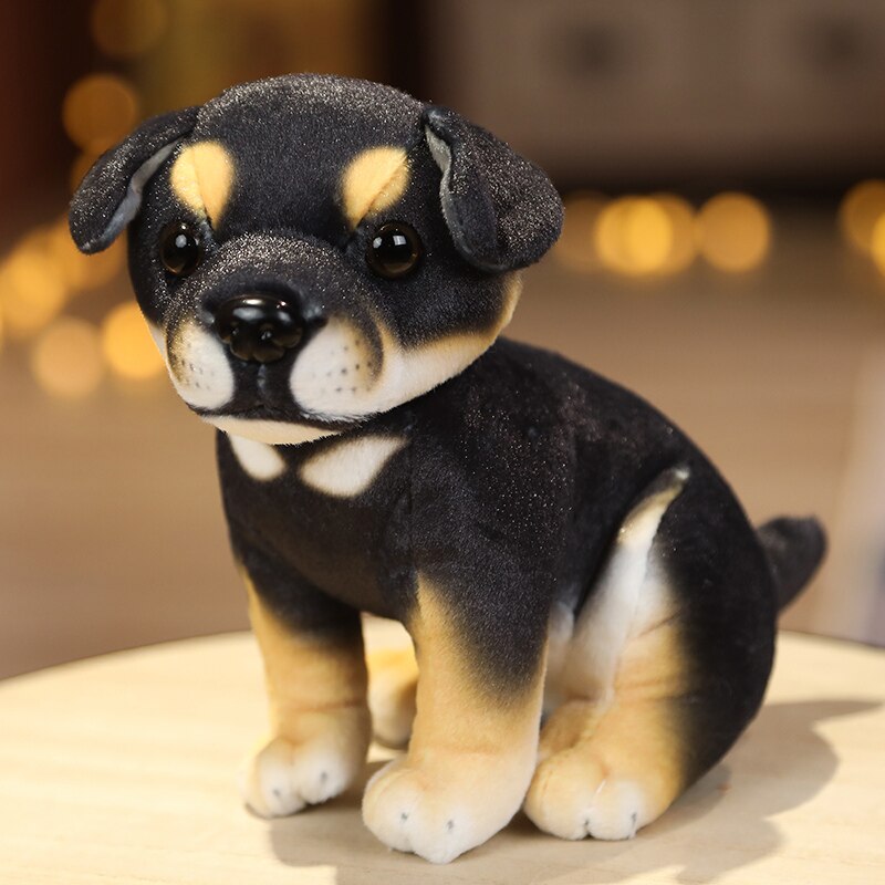 image of a adorable rottweiler stuffed animal plush toy