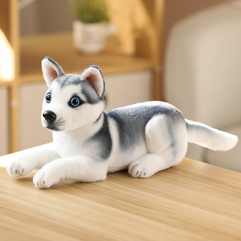 image of an adorable husky stuffed animal plush toy